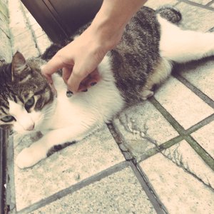 日韩三级黄色毛片高清
